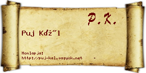 Puj Kál névjegykártya